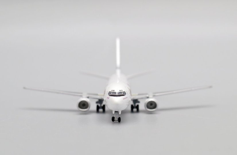 XX4987 12