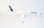 Airbus A350-900 Lufthansa D-AIXM;  1:200